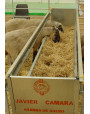 Auge d'aliments pour ovins-B012-3M